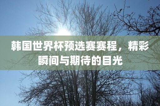 韩国世界杯预选赛赛程，精彩瞬间与期待的目光
