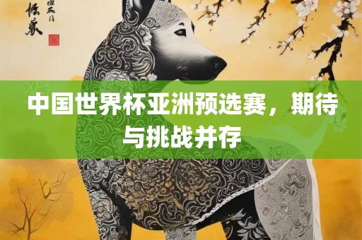 中国世界杯亚洲预选赛，期待与挑战并存