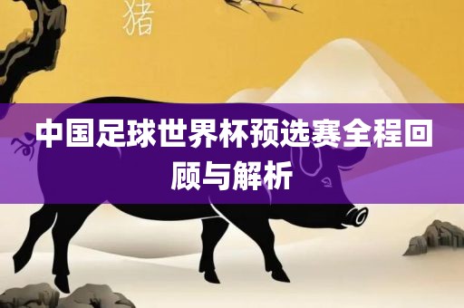 中国足球世界杯预选赛全程回顾与解析
