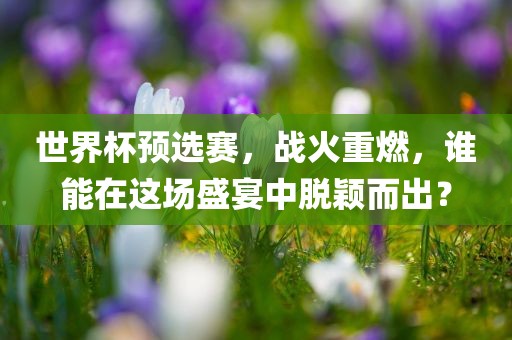 世界杯预选赛，战火重燃，谁能在这场盛宴中脱颖而出？