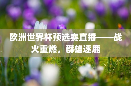 欧洲世界杯预选赛直播——战火重燃，群雄逐鹿
