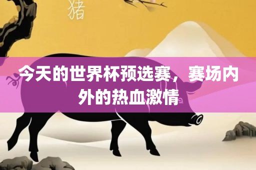今天的世界杯预选赛，赛场内外的热血激情