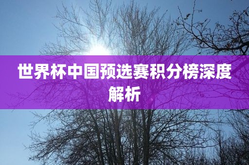 世界杯中国预选赛积分榜深度解析