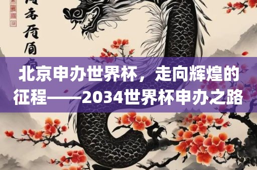 北京申办世界杯，走向辉煌的征程——2034世界杯申办之路
