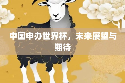 中国申办世界杯，未来展望与期待