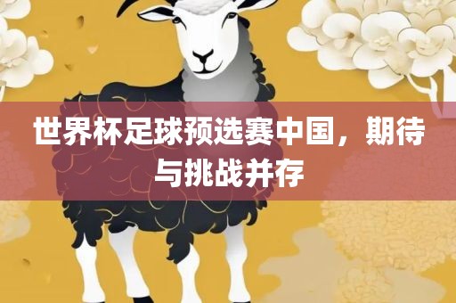 世界杯足球预选赛中国，期待与挑战并存眉山市正发家政服务有限公司