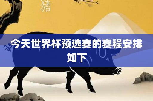 今天世界杯预选赛的赛程安排如下