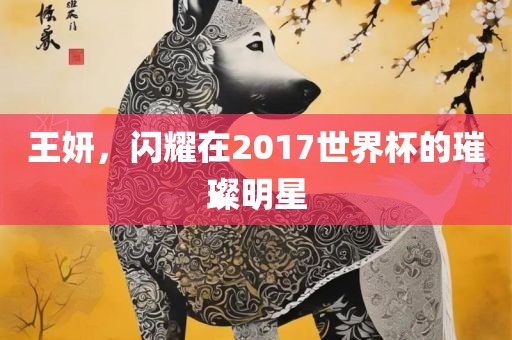 王妍，闪耀在2017世界杯的璀璨明星