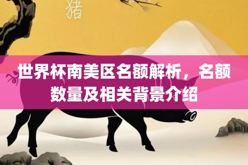 世界杯南美区名额解析，名额数量及相关背景介绍