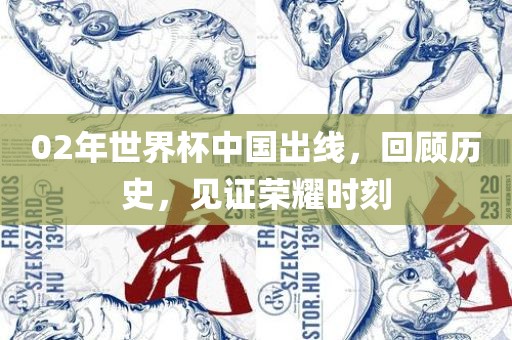 02年世界杯中国出线，回顾历史，见证荣耀时刻