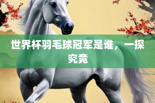 世界杯羽毛球冠军是谁，一探究竟