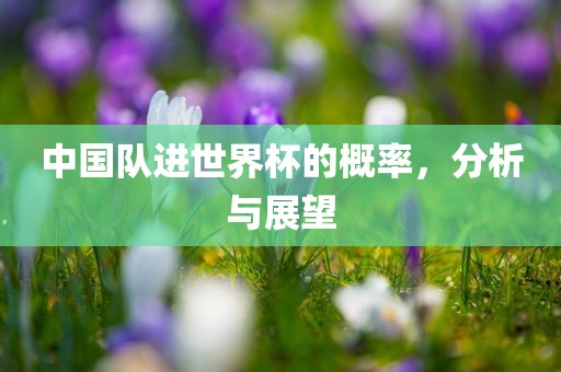 中国队进世界杯的概率，分析与展望