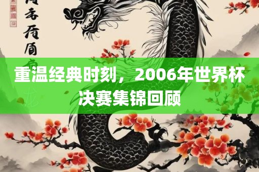 重温经典时刻，2006年世界杯决赛集锦回顾