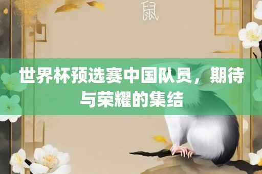 世界杯预选赛中国队员，期待与荣耀的集结