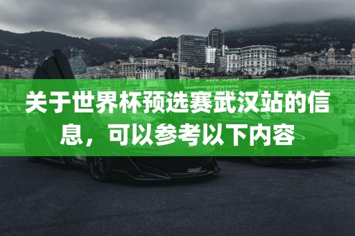 关于世界杯预选赛武汉站的信息，可以参考以下内容