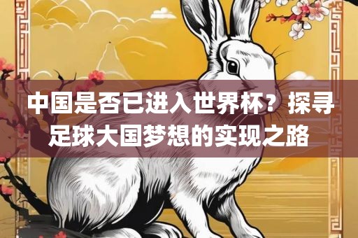 中国是否已进入世界杯？探寻足球大国梦想的实现之路
