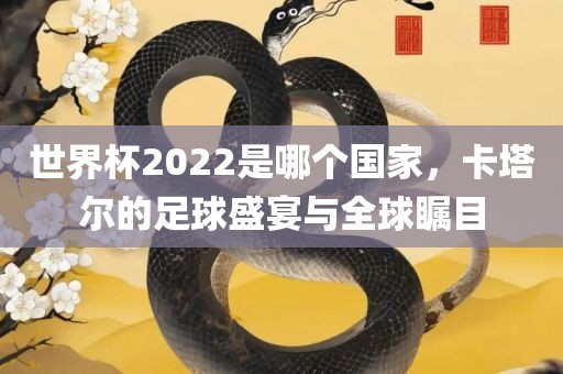 世界杯2022是哪个国家，卡塔尔的足球盛宴与全球瞩目