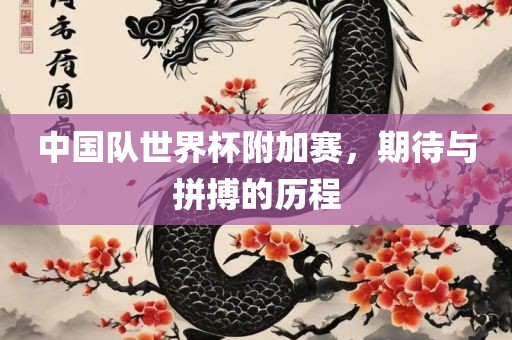 中国队世界杯附加赛，期待与拼搏的历程