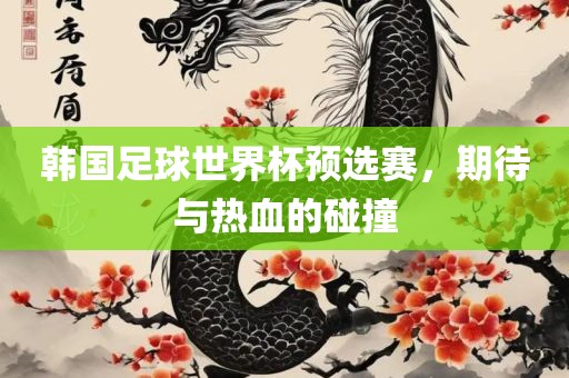 韩国足球世界杯预选赛，期待与热血的碰撞