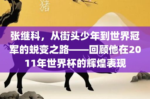 张继科，从街头少年到世界冠军的蜕变之路——回顾他在2011年世界杯的辉煌表现