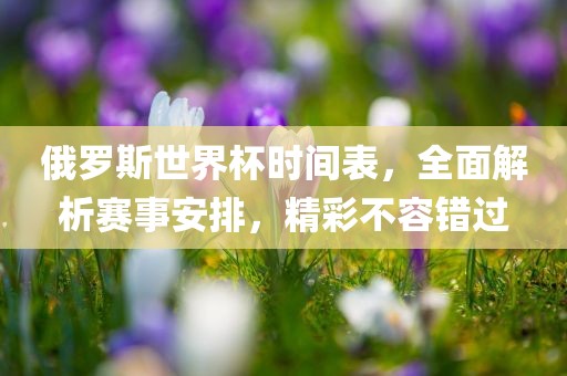 俄罗斯世界杯时间表，全面解析赛事安排，精彩不容错过