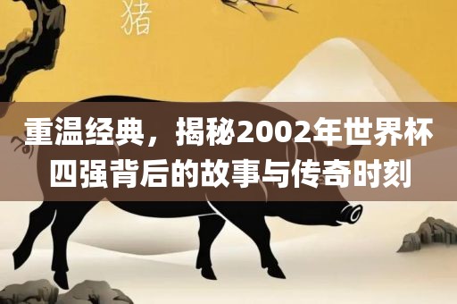 重温经典，揭秘2002年世界杯四强背后的故事与传奇时刻
