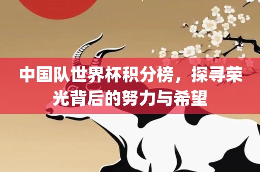 中国队世界杯积分榜，探寻荣光背后的努力与希望