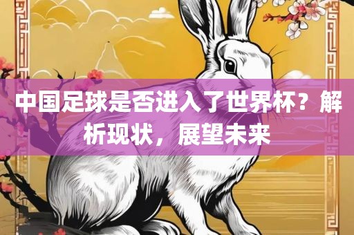 中国足球是否进入了世界杯？解析现状，展望未来
