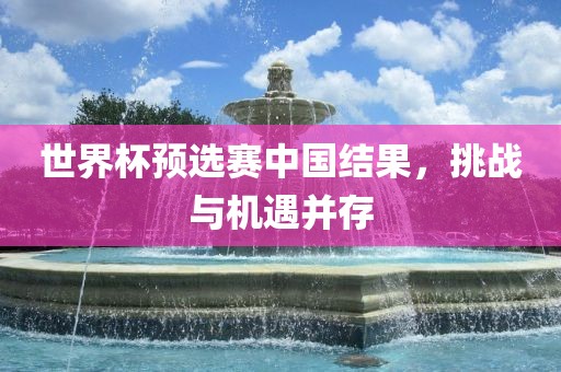 世界杯预选赛中国结果，挑战与机遇并存