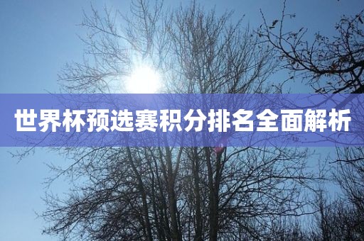 世界杯预选赛积分排名全面解析