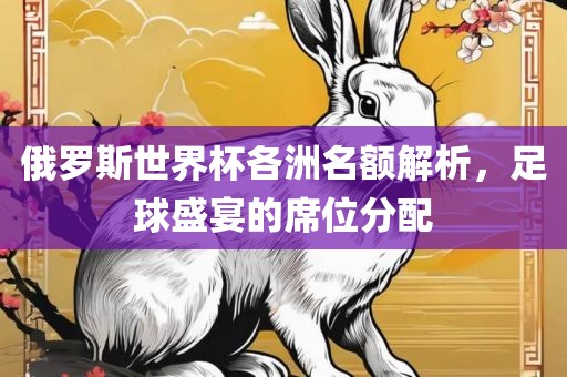 俄罗斯世界杯各洲名额解析，足球盛宴的席位分配