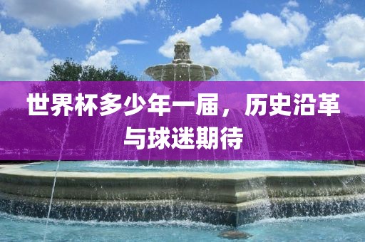 世界杯多少年一届，历史沿革与球迷期待