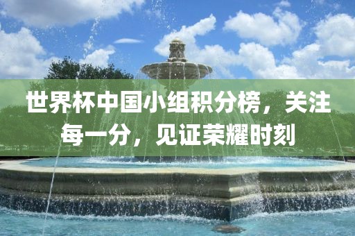世界杯中国小组积分榜，关注每一分，见证荣耀时刻