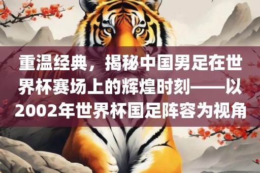 重温经典，揭秘中国男足在世界杯赛场上的辉煌时刻——以2002年世界杯国足阵容为视角