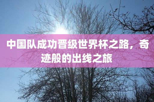 中国队成功晋级世界杯之路，奇迹般的出线之旅