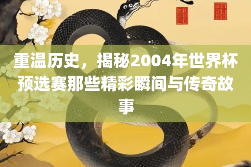 重温历史，揭秘2004年世界杯预选赛那些精彩瞬间与传奇故事