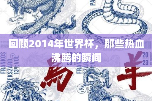 回顾2014年世界杯，那些热血沸腾的瞬间眉山市正发家政服务有限公司