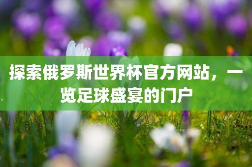 探索俄罗斯世界杯官方网站，一览足球盛宴的门户