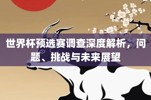世界杯预选赛调查深度解析，问题、挑战与未来展望