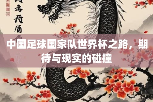 中国足球国家队世界杯之路，期待与现实的碰撞
