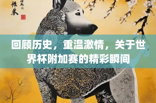 回顾历史，重温激情，关于世界杯附加赛的精彩瞬间