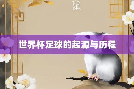 世界杯足球的起源与历程