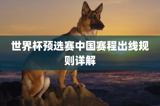 世界杯预选赛中国赛程出线规则详解