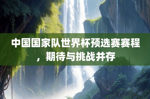 中国国家队世界杯预选赛赛程，期待与挑战并存