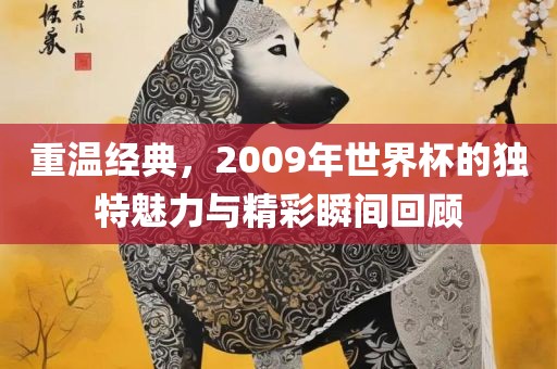 重温经典，2009年世界杯的独特魅力与精彩瞬间回顾