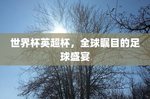 世界杯英超杯，全球瞩目的足球盛宴眉山市正发家政服务有限公司