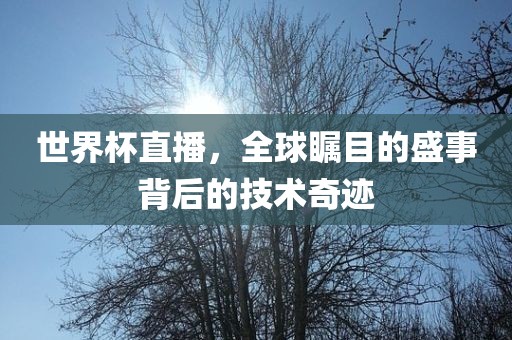 世界杯直播，全球瞩目的盛事背后的技术奇迹