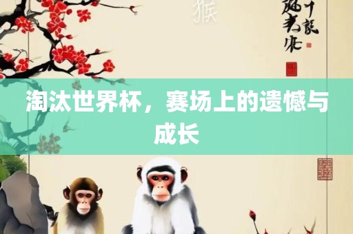 淘汰世界杯，赛场上的遗憾与成长