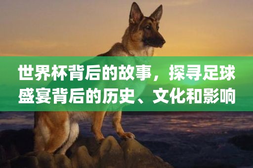 世界杯背后的故事，探寻足球盛宴背后的历史、文化和影响