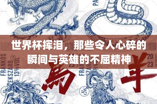 世界杯挥泪，那些令人心碎的瞬间与英雄的不屈精神